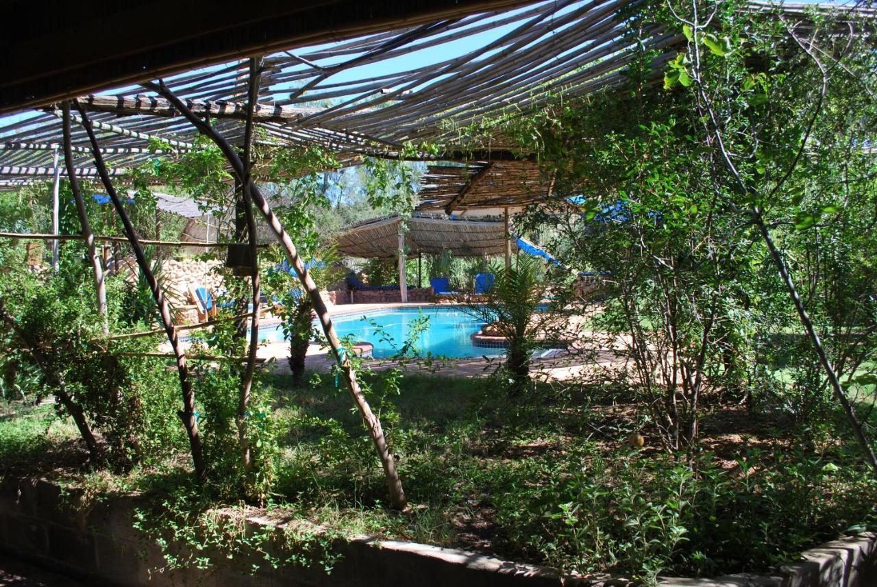 Amber Lagoon Backpackers Lodge Vleirivier Екстериор снимка