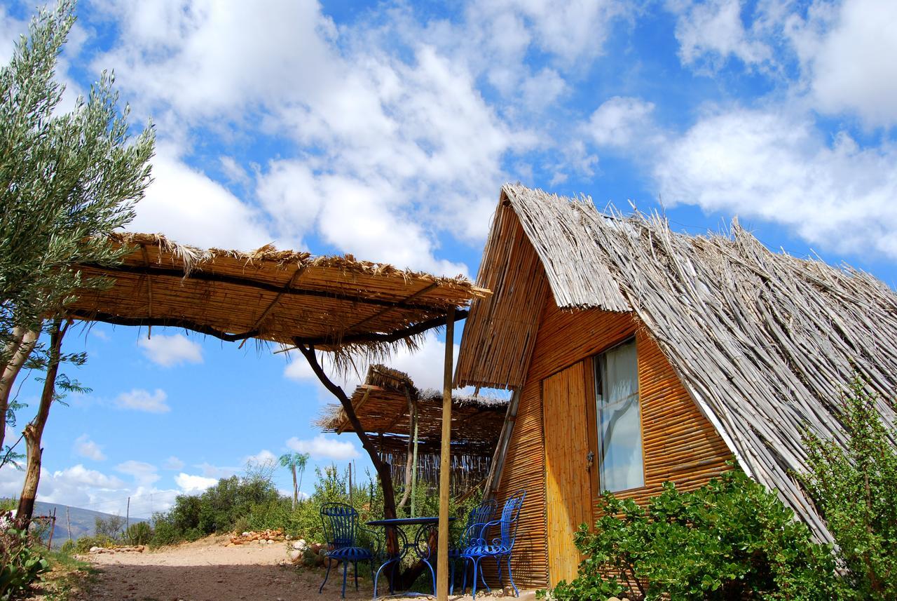 Amber Lagoon Backpackers Lodge Vleirivier Екстериор снимка